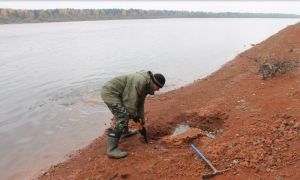 Парейазавр разинул пасть