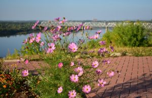 Скоро осень...