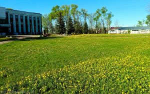 Солнечный Котельнич