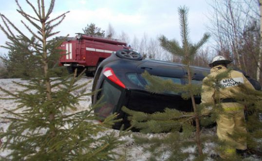 "Калина" в кювете