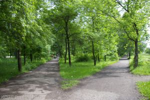 Благоустроят сквер