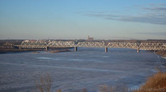 В Котельнич прилетели чайки