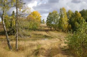 Вот и осень