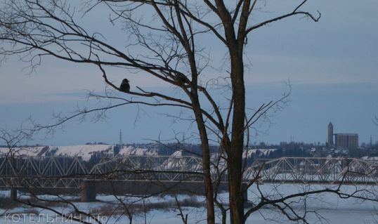 Котельнич сегодня