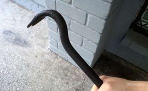 Гвоздодер - оружие &laquo;самообороны&raquo;