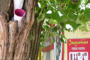 Оградились от &laquo;Семёныча&raquo;