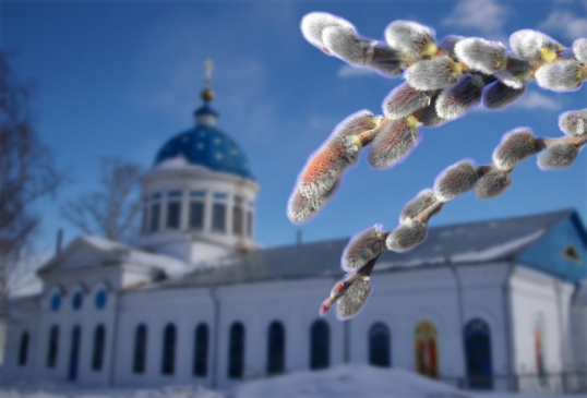 Накануне Вербного воскресенья в Никольском храме можно освятить вербу