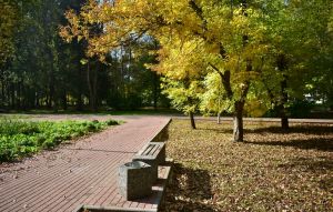 Парк на улице Победы