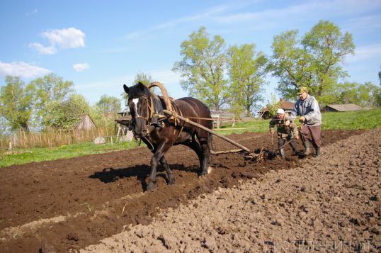 Пахать, пахать и еще раз пахать