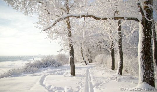 Новый год начнется комфортной погодой