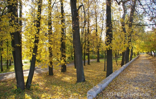 Последние деньки