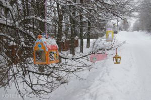 Котельнич сегодня