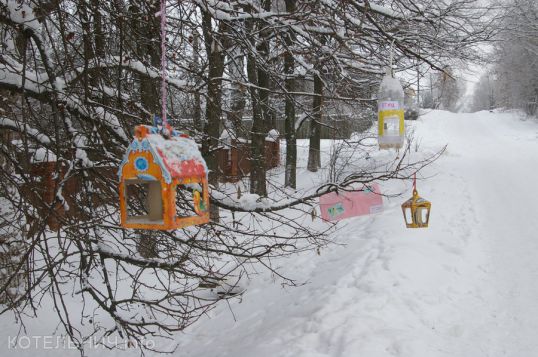 Котельнич сегодня