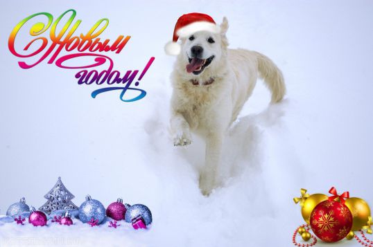 С Новым годом!