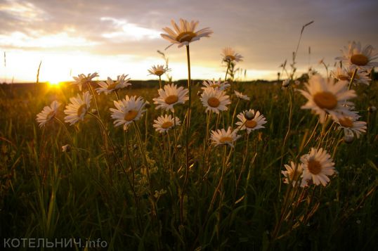 В ожидании тепла