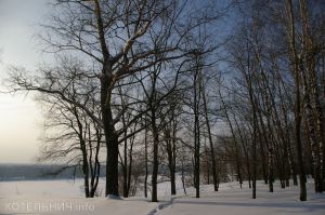 Вы еще можете успеть поддержать Котельнич