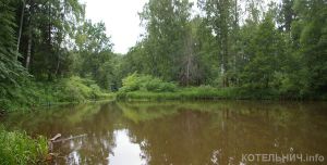 Расскажите о мире заповедной природы