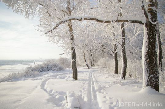 Котельнич — полюс холода