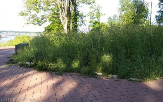 На дальней станции сойду, трава по пояс...