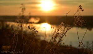 Морозное утро