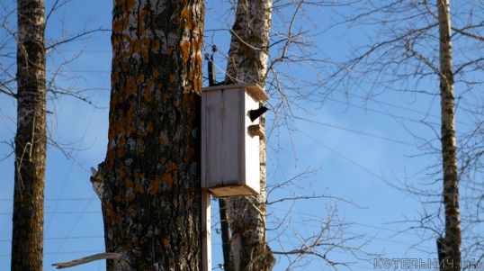 Ждать тепла осталось совсем недолго