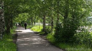 Сколько стоит покос в Котельниче