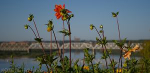 Метеопредупреждение