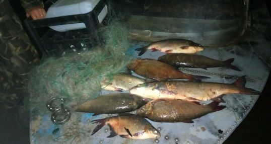 Полицейские задержали леди-браконьера