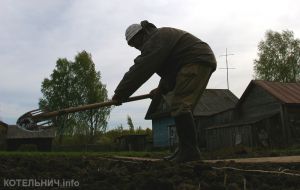 «Картофельная» погода