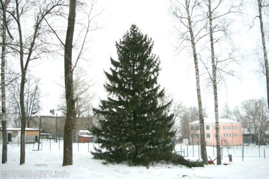 Ёлочка &mdash; с иголочки