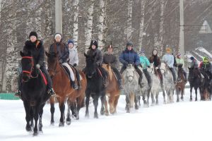 Рождественская прогулка