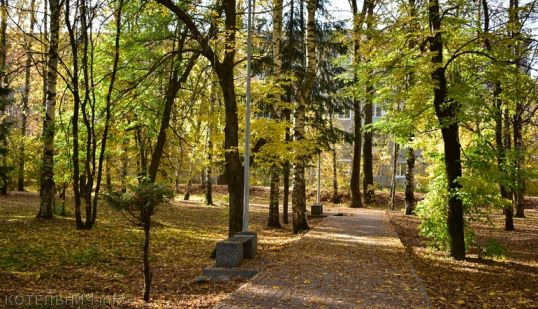 Когда было солнечно