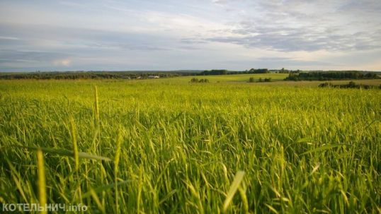 Лето к нам приходит