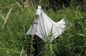 В Нургуше ловят мух