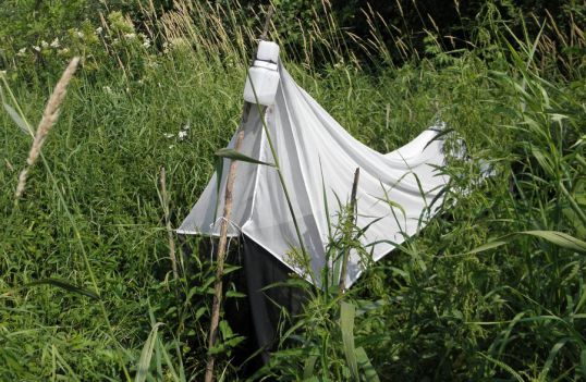 В Нургуше ловят мух