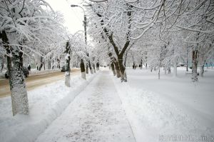 Между молотом и наковальней