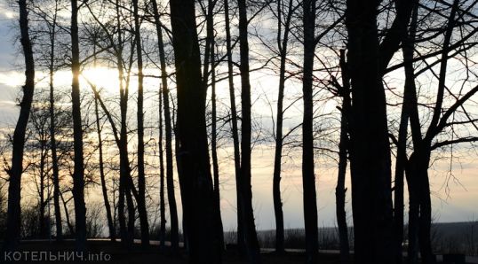 Напилят на 400 тысяч рублей