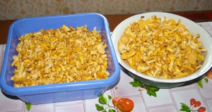 На тихую охоту