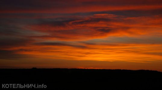 Блог спасского аборигена. Местный твиттер. ВИДЕО