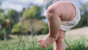 Украл... подгузники