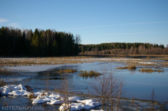 Зимы ждала, ждала природа&hellip;