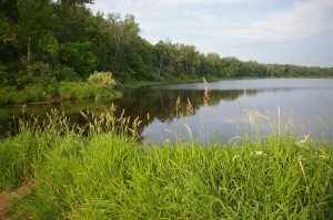 С праздником, &laquo;Нургуш&raquo;