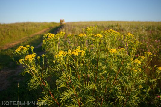 Потерпеть совсем немного