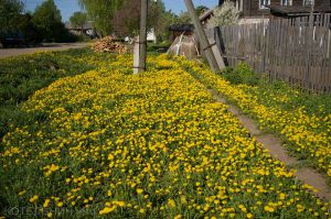 Котельнич сегодня