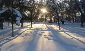 Морозный денек