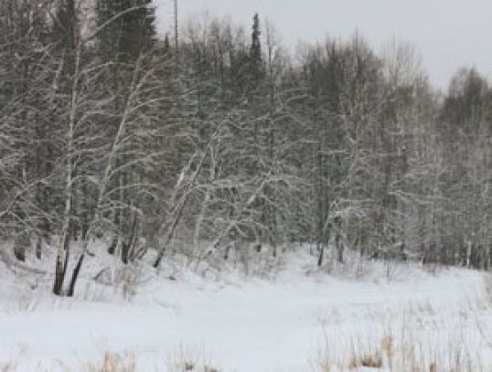 Заповедник &laquo;Нургуш&raquo; приглашает на зимние экскурсии