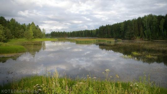 Пропавшее лето