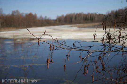 Вспомним март &laquo;добрым&raquo; словом