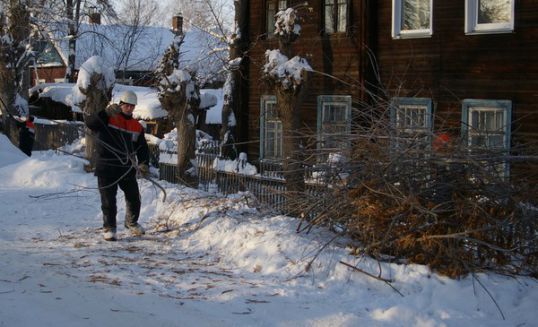 Кто веточки уберет?