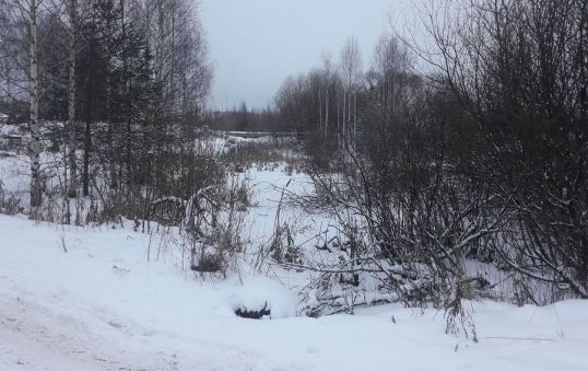 Зловонное &laquo;озеро&raquo; ликвидировали